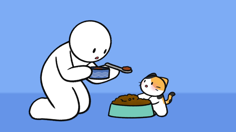 Cat_trustX_4_3