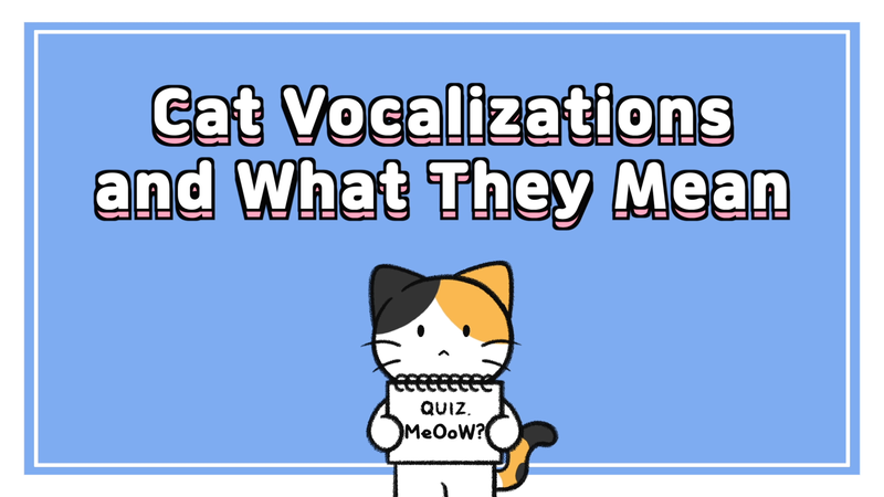 Cat_vocalizations_0_
