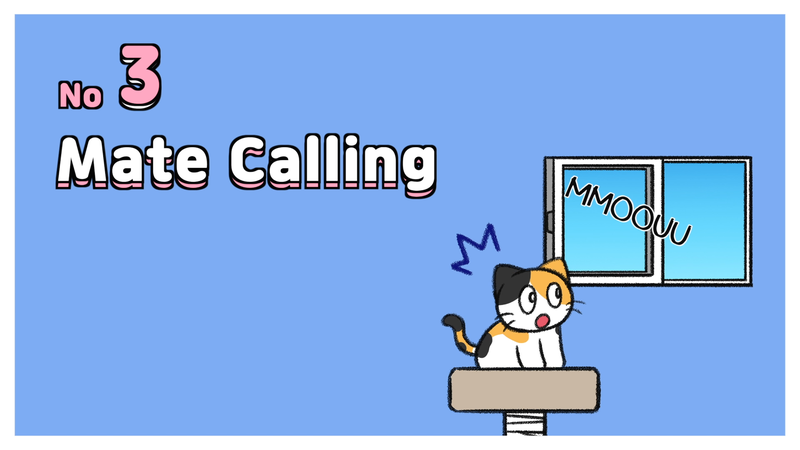 Cat_vocalizations_3_