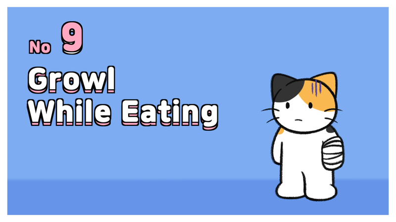 Cat_vocalizations_9_