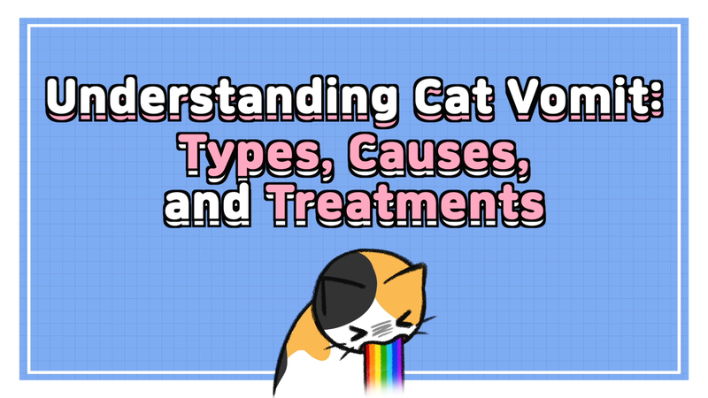 Cat_vomit_0_