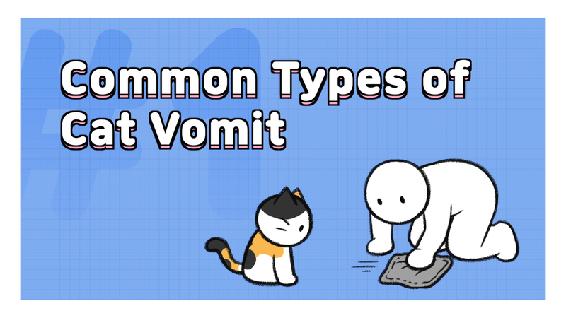 Cat_vomit_1_