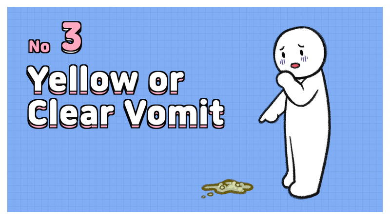 Cat_vomit_1_3_