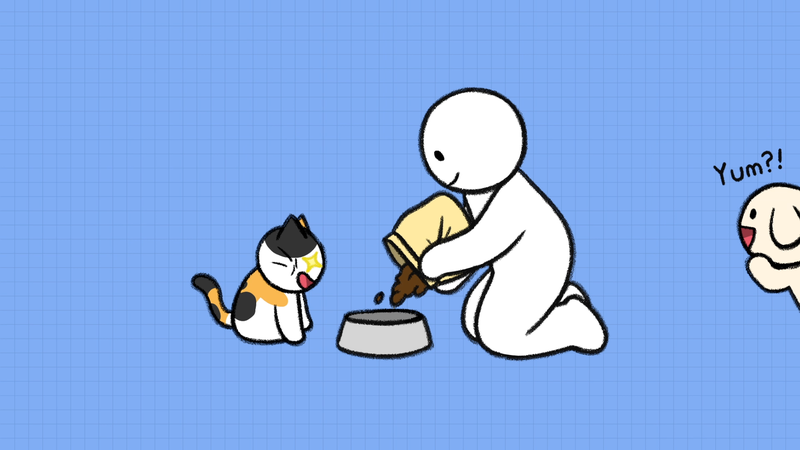 Cat_vomit_1_3_2