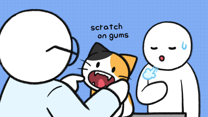 Cat_vomit_2_1_1