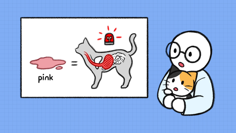 Cat_vomit_2_1_2
