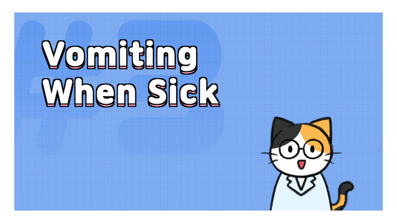 Cat_vomit_3_