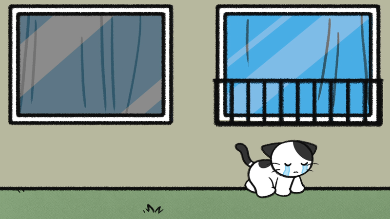 Cat_window_3_2