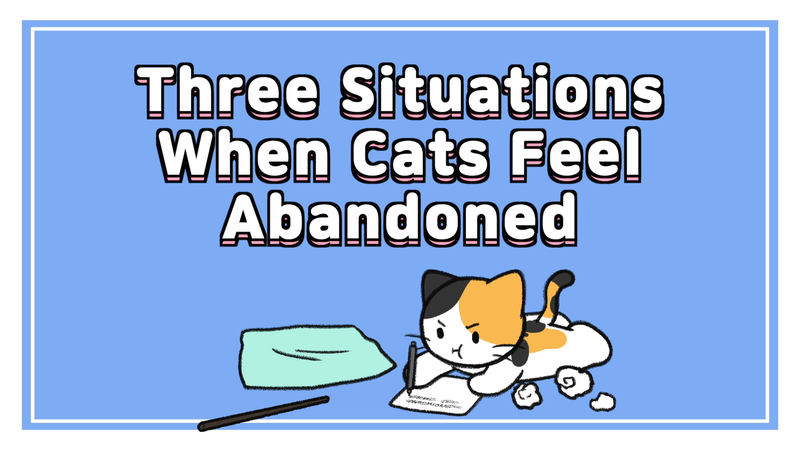 Cats_feel_abandoned_0_