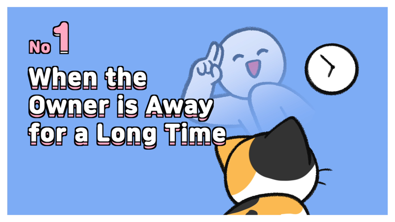 Cats_feel_abandoned_1_