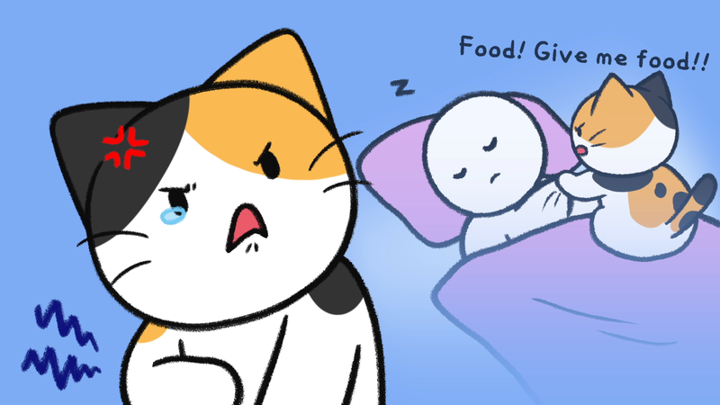 Cats_feel_abandoned_1_1