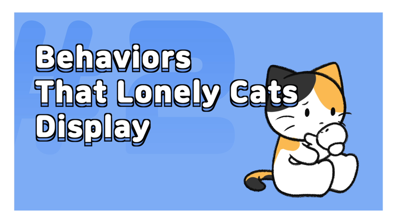 Cats_feel_abandoned_2