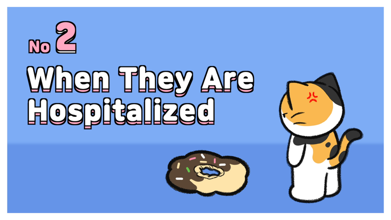 Cats_feel_abandoned_2_