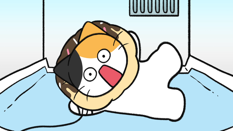 Cats_feel_abandoned_2_1