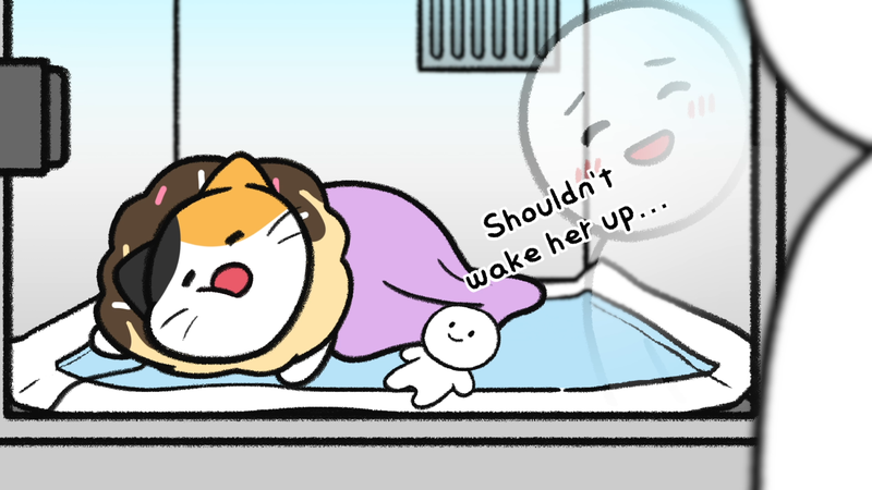 Cats_feel_abandoned_2_2