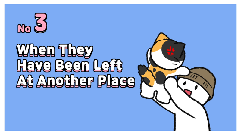 Cats_feel_abandoned_3_