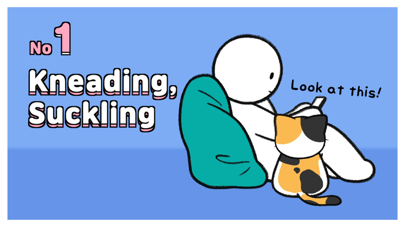 Cats_feel_abandoned_4_