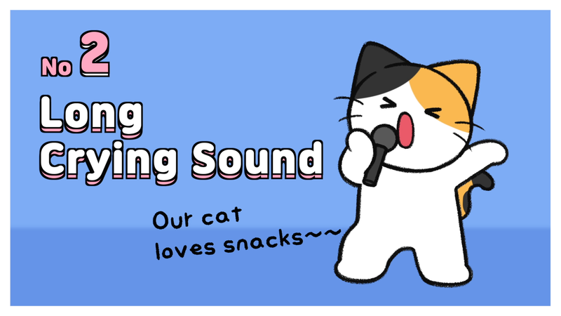 Cats_feel_abandoned_5_