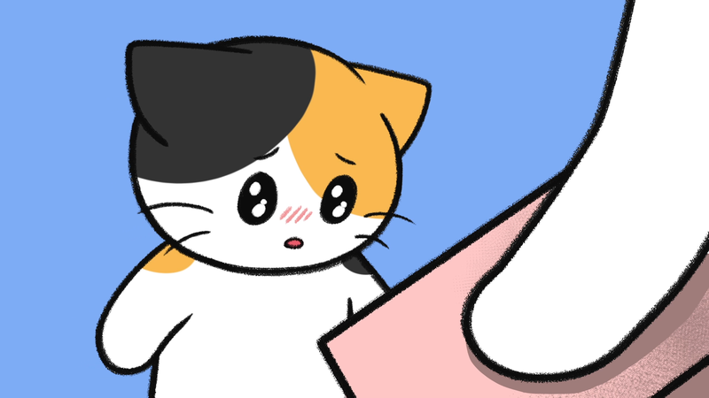 Cats_feel_abandoned_6_2