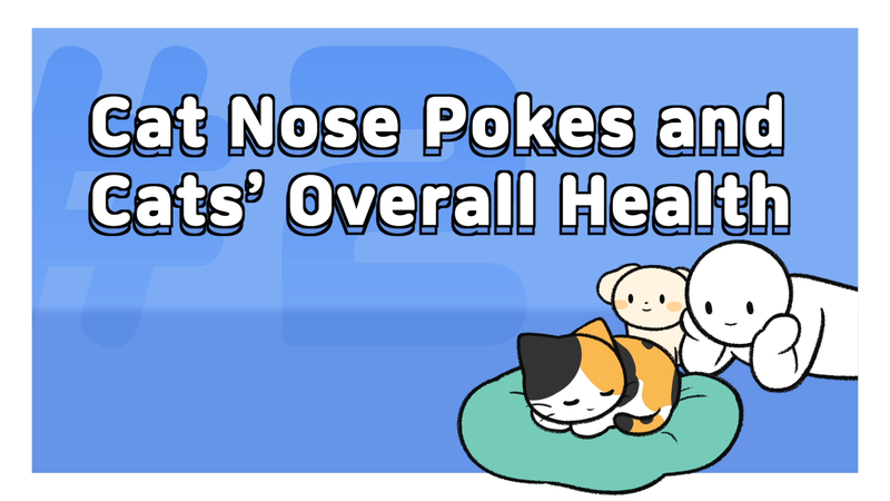 Cats_nosepokes_5_