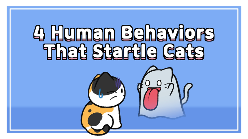 Cats_startle_0_
