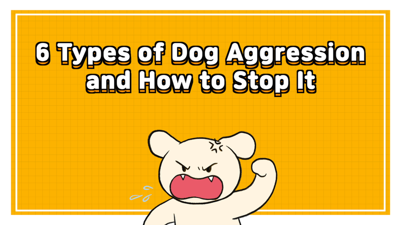 Dog_aggression_0_