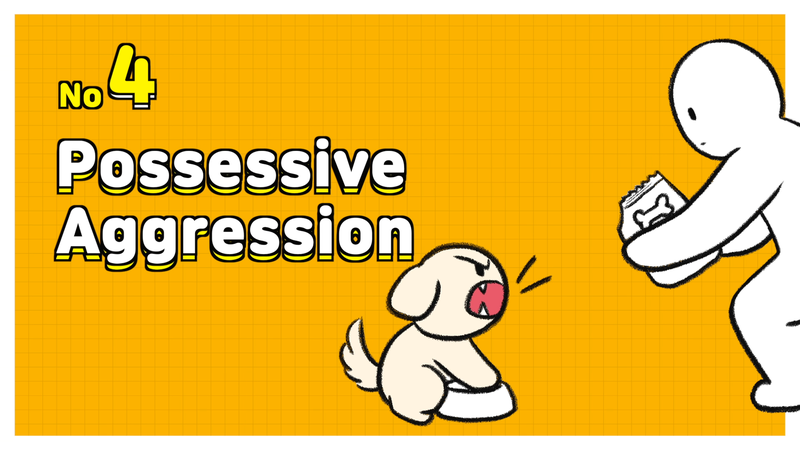 Dog_aggression_4_