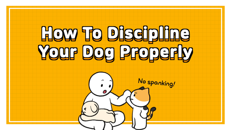 Dog_discipline_0_