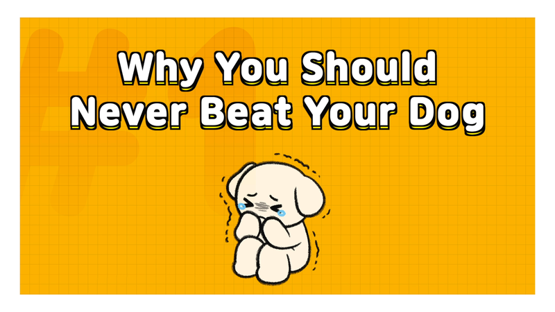 Dog_discipline_1_