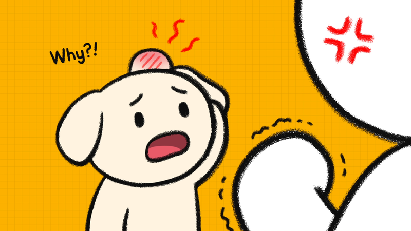Dog_discipline_1_1