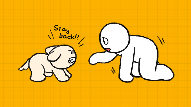 Dog_discipline_1_3