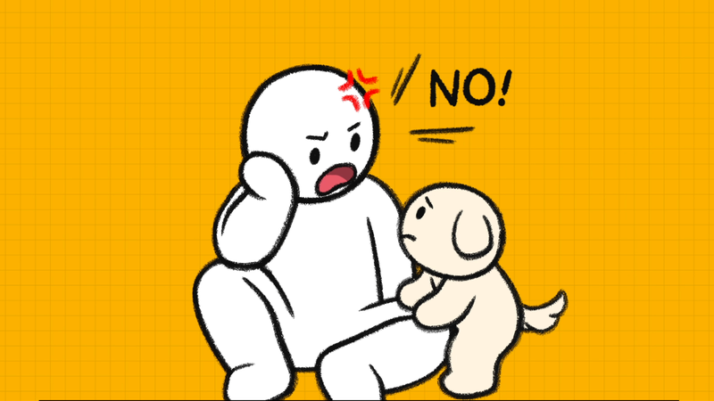 Dog_discipline_2_3_2