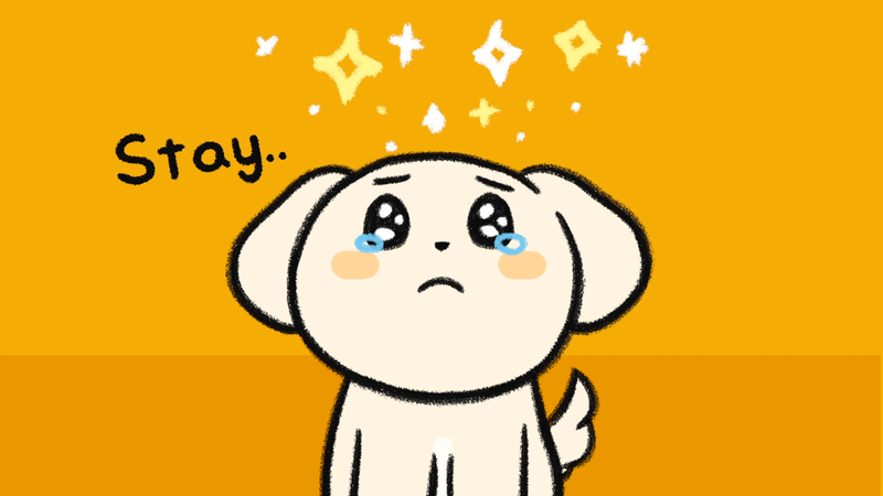 Dog_following_you_4_2