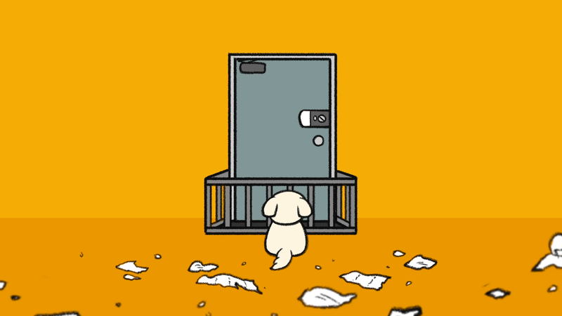 Dog_following_you_5_2