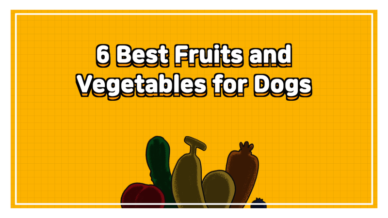 Dog_fruits_0_