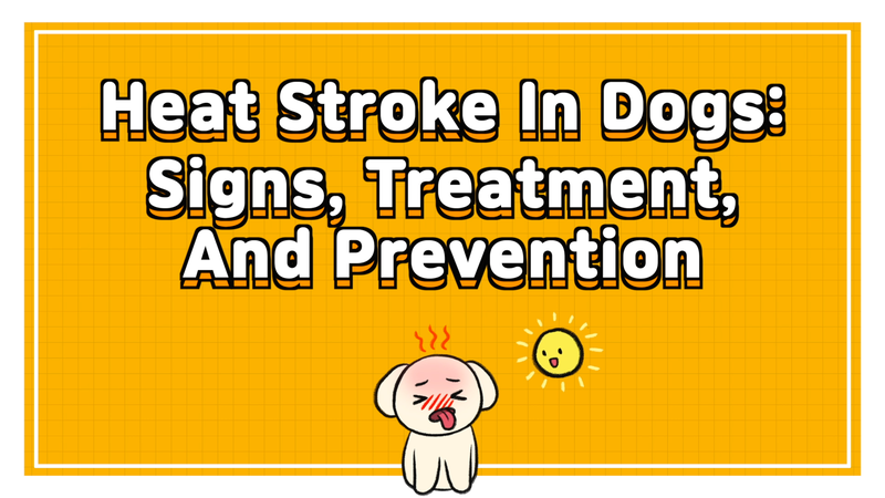 Dog_heat_stroke_0