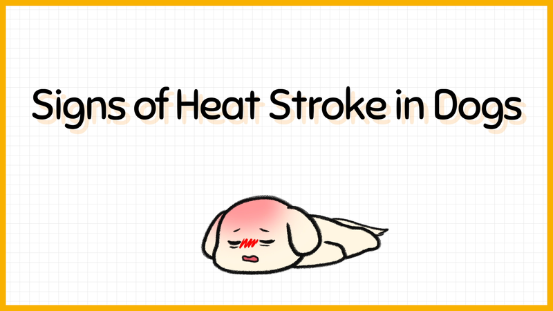 Dog_heat_stroke_1_