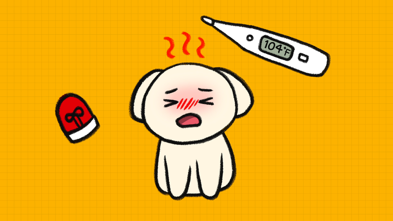 Dog_heat_stroke_1_2_2