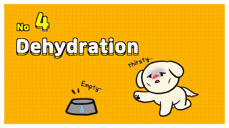 Dog_heat_stroke_1_4
