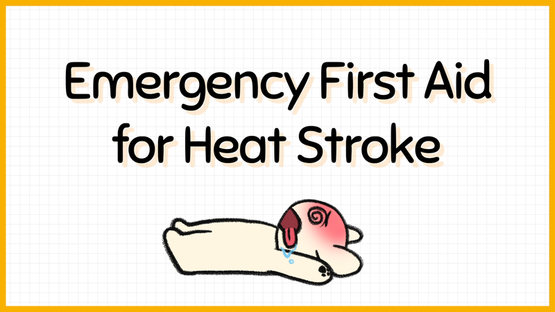 Dog_heat_stroke_2_