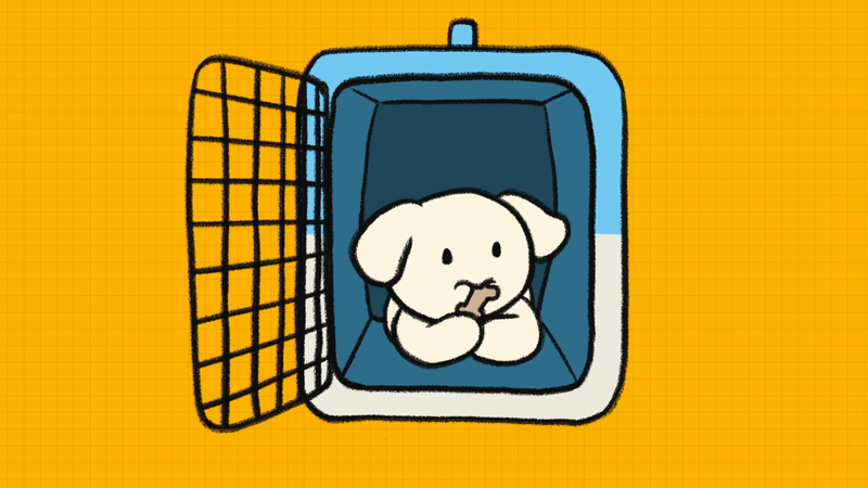 Dog_separation_anxiety1_6