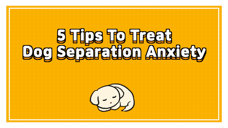 Dog_separation_anxiety_0_