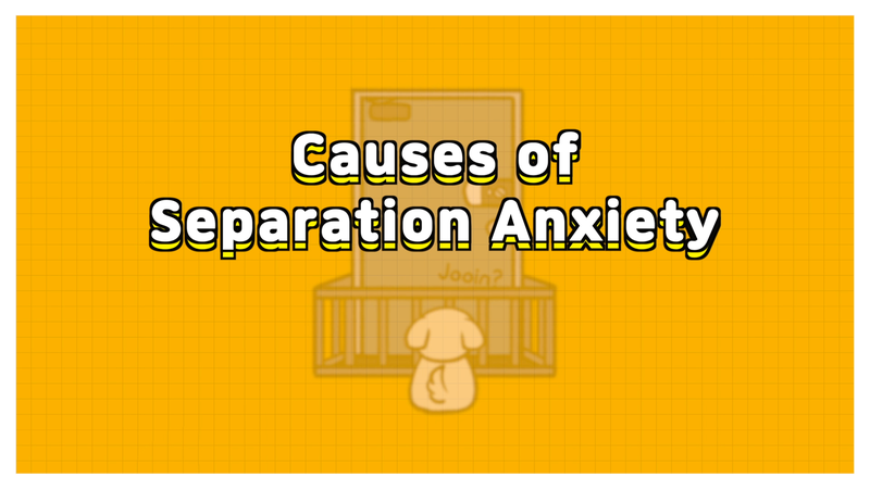 Dog_separation_anxiety_2_