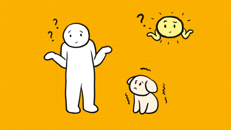Dog_shaking_1_3