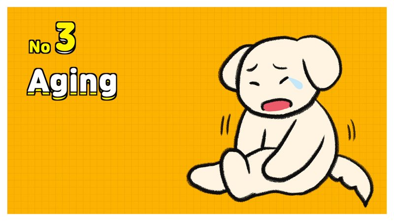 Dog_shaking_3_