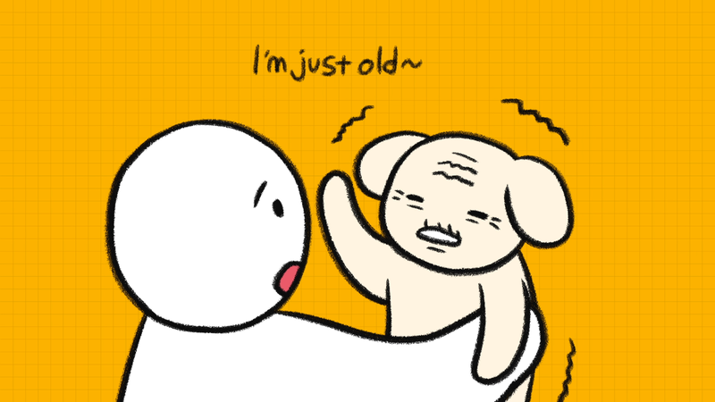 Dog_shaking_3_1