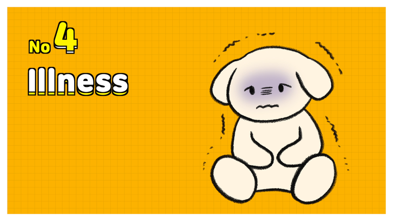 Dog_shaking_4_