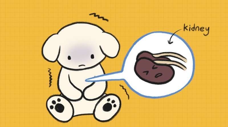 Dog_shaking_4_1