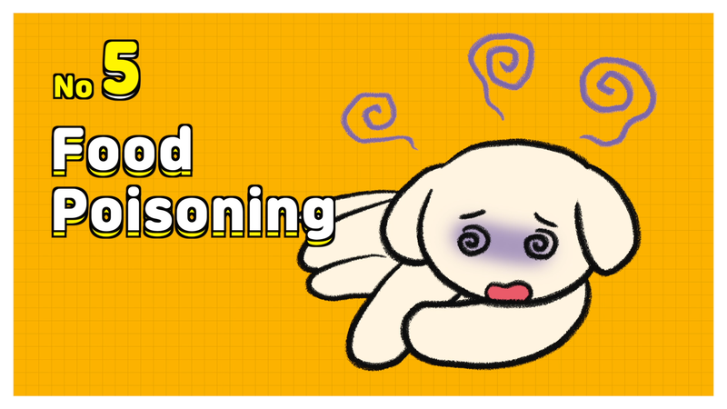 Dog_shaking_5_