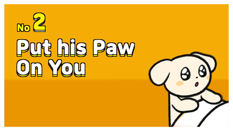 Dog_wanna_play_2_
